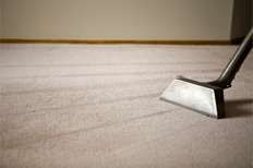 Carpet Cleaning